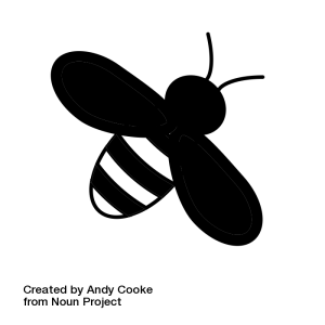 noun_156877_cc